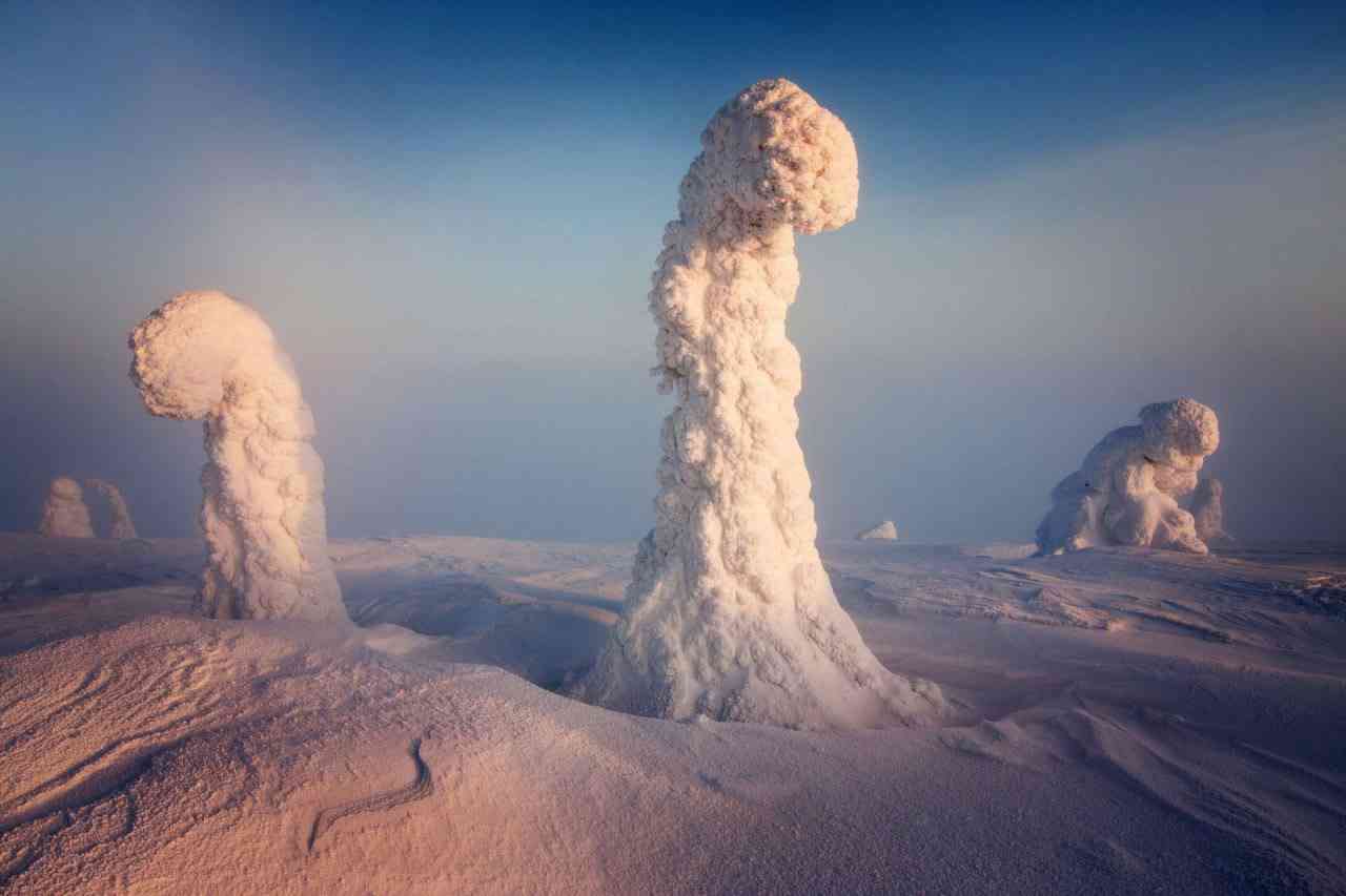 In Finland, the temperature can fall to -40C in winter, so the trees are covered with so much snow and frost that it looks like a landscape from another planet. | MirrorLog